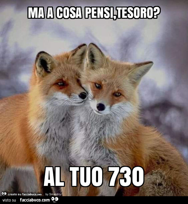 Ma a cosa pensi, tesoro? Al tuo 730
