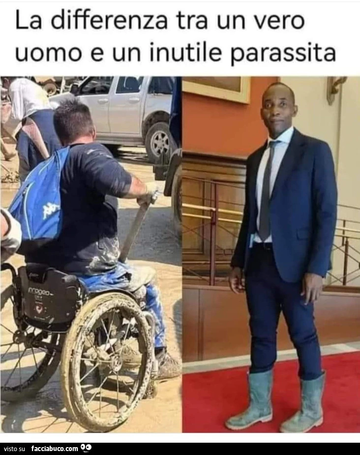 Vaccata