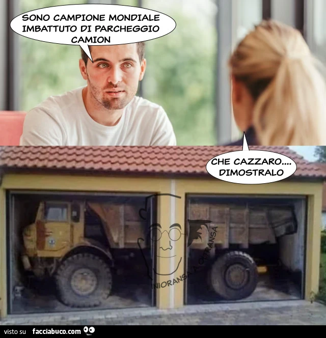 Campione mondiale di parcheggio