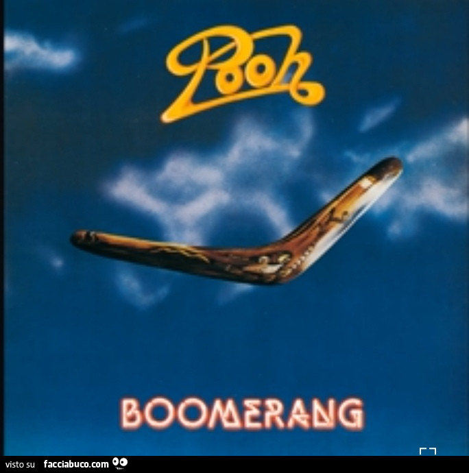 Pooh Boomerang