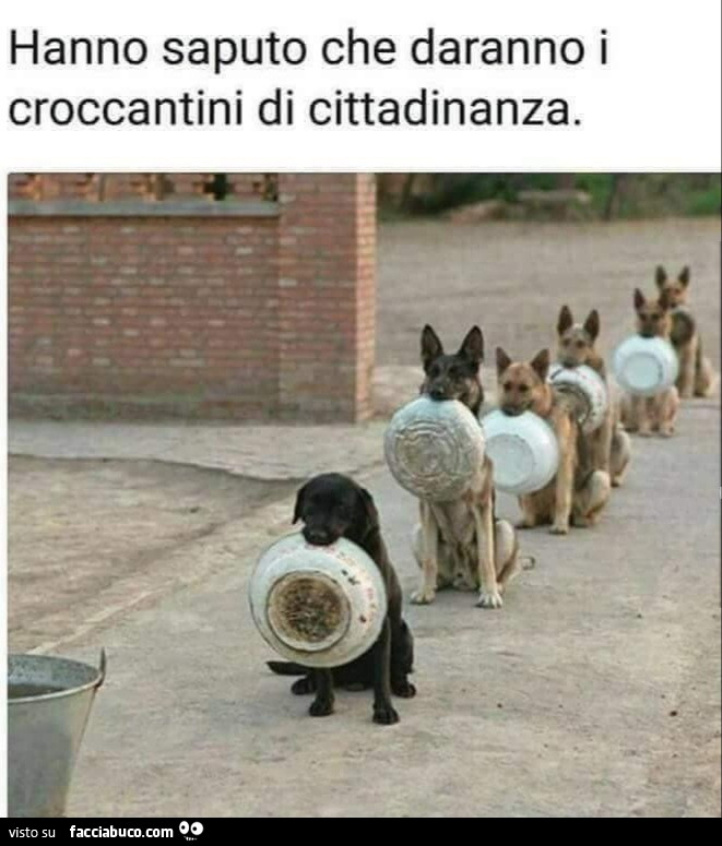 Croccantini