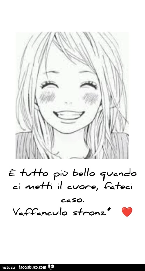 È più bello quando ci metti il cuore, fateci caso. Vaffanculo stronzi