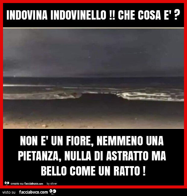 Indovina indovinello! Che cosa è? Non è un fiore, nemmeno una pietanza, nulla di astratto ma bello come un ratto