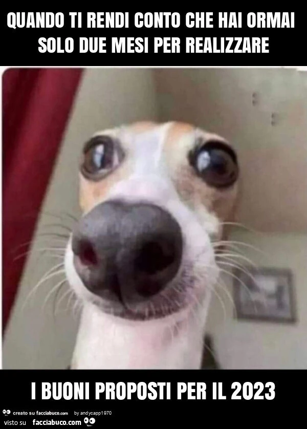 Quando ti rendi conto che hai ormai solo due mesi per realizzare i buoni proposti per il 2023