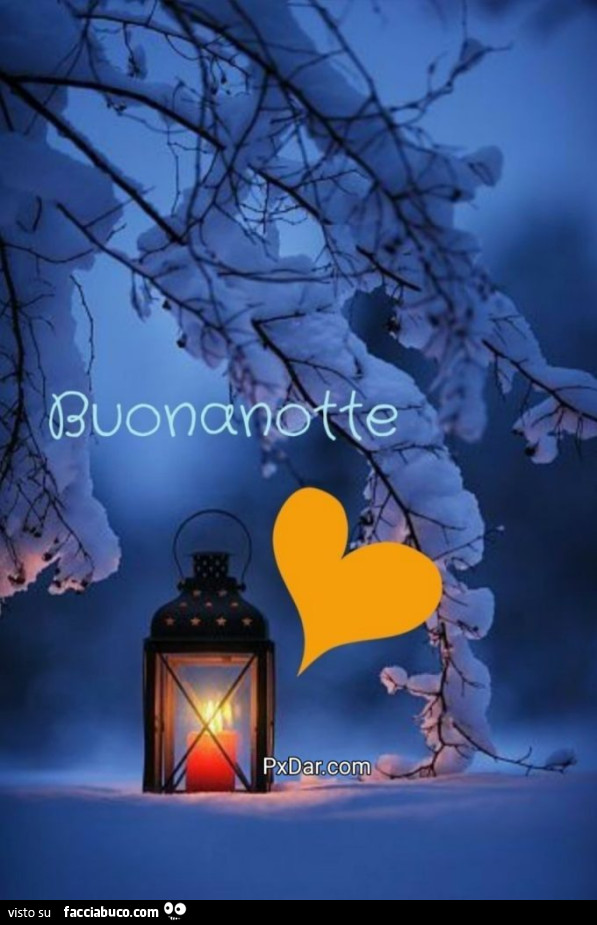 Buonanotte