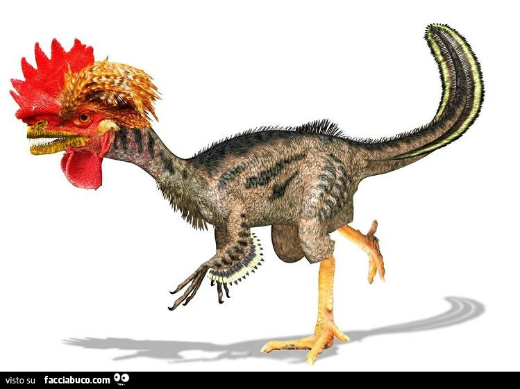 Pollosauro