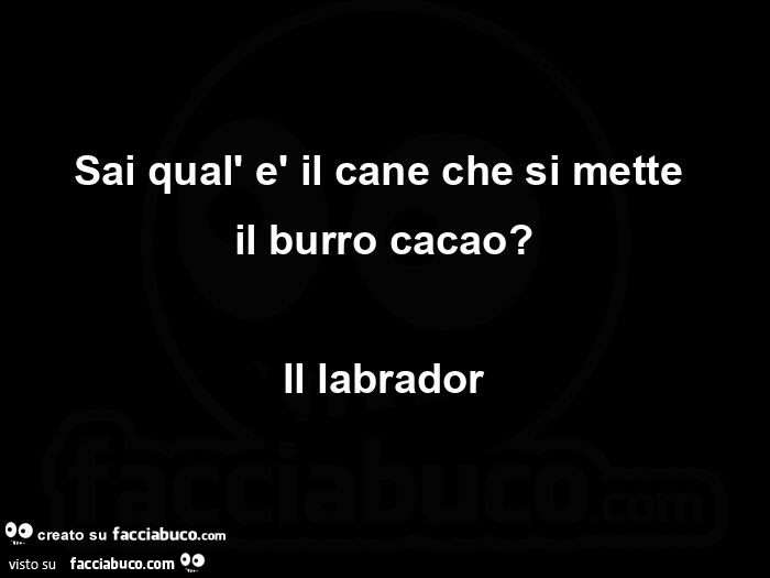 Sai qual'è il cane che si mette il burro cacao? Il labrador