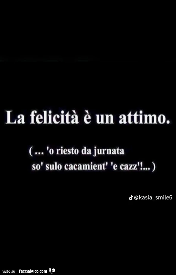 La felicità è un attimo. O riesto da jurnata sò sulo cacamient' 'e cazz