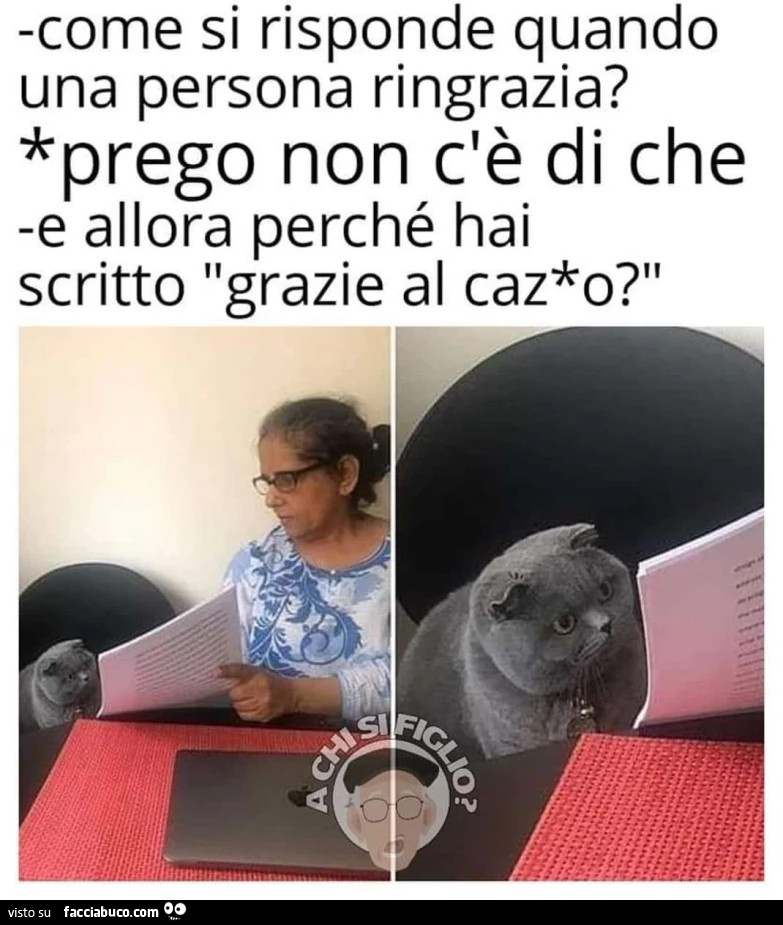 Vaccata