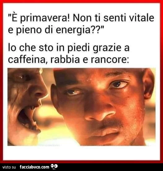 Primavera stocazzo