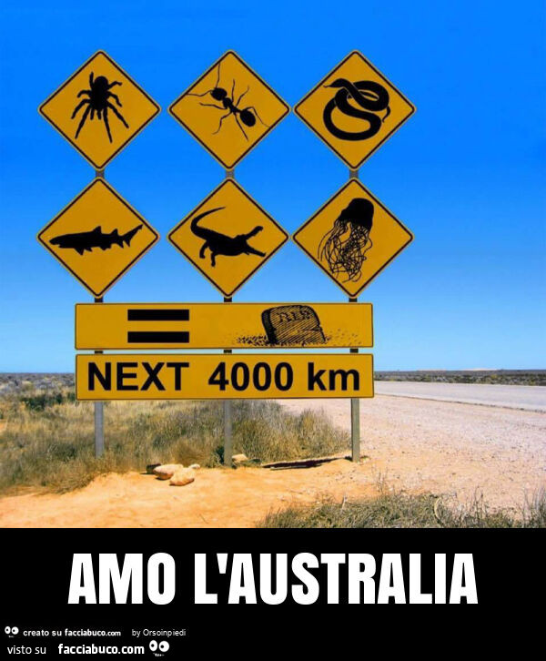 Amo l'australia