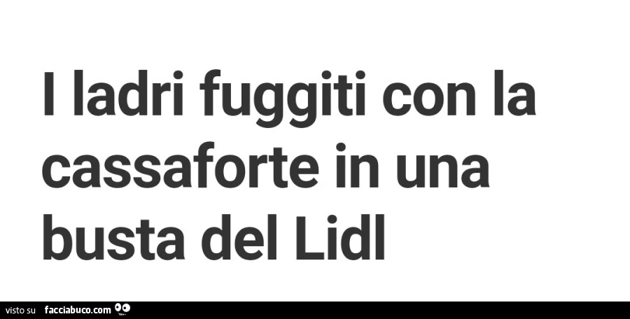 I ladri fuggiti con la cassaforte in una busta del lidl