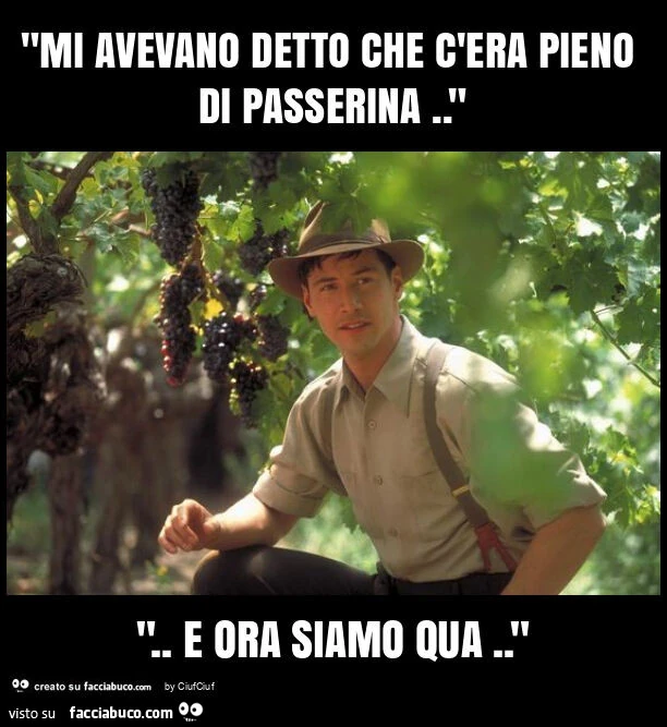 "mi avevano detto che c'era pieno di passerina. " ". E ora siamo qua. "