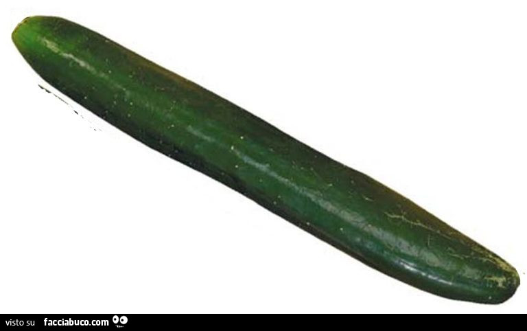 Zucchina