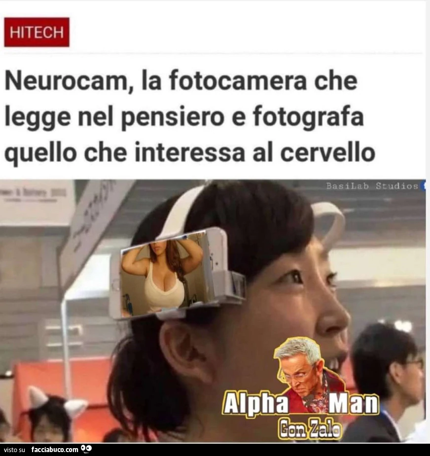 Vaccata