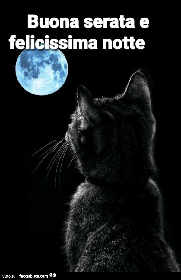 Buona serata e felicissima notte