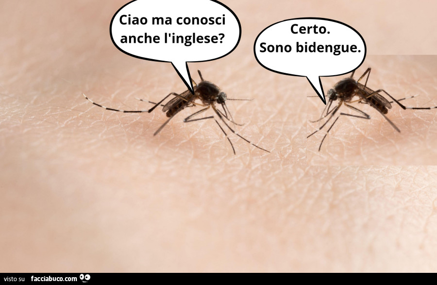 Dengue in Italia
