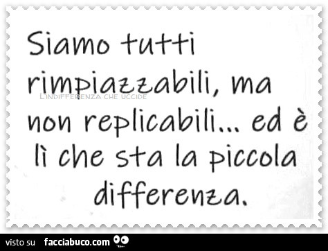 Siamo tutti rimpiazzabili, ma non replicabili… ed è lì che sta la piccola differenza