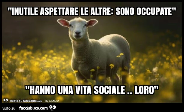 "inutile aspettare le altre: sono occupate" "hanno una vita sociale. Loro"