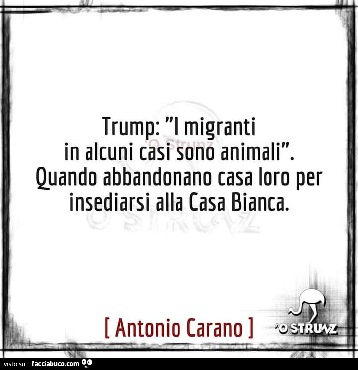 Trump: i migranti in alcuni casi sono animali. Quando abbandonano casa loro per insediarsi alla casa bianca