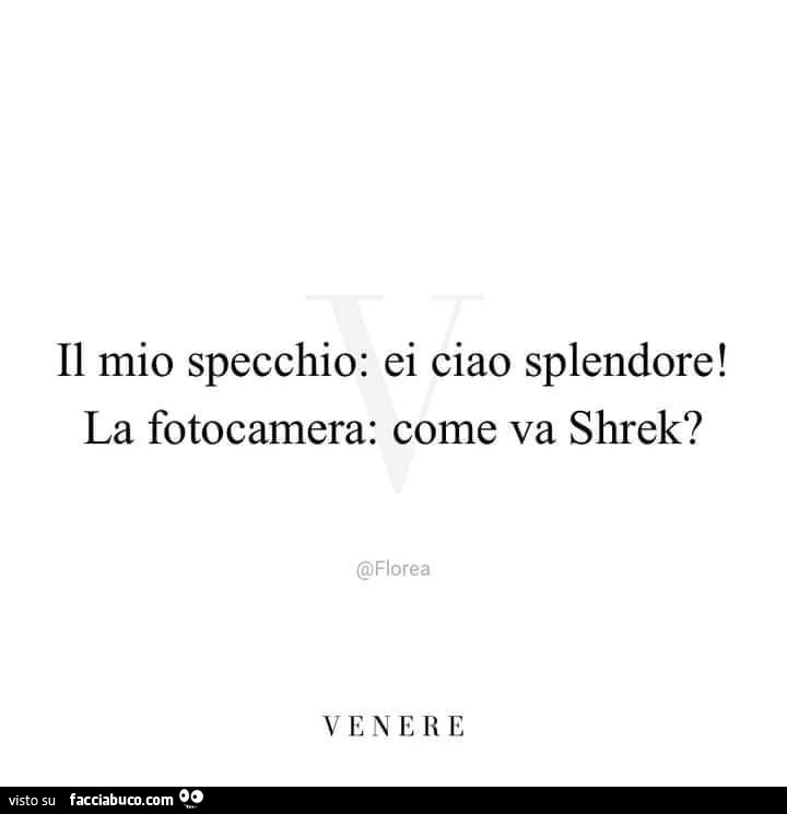 Il mio specchio: ei ciao splendore! La fotocamera: come va shrek?