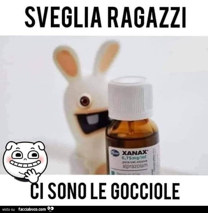 Vaccata