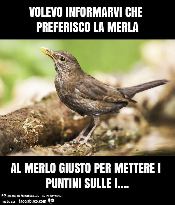 Volevo informarvi che preferisco la merla al merlo giusto per mettere i puntini sulle i