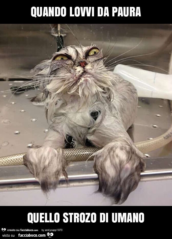 Quando lovvi da paura quello strozo di umano