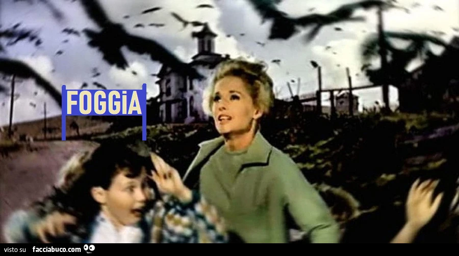 Tutti I Meme Su Alfred Hitchcock Facciabuco