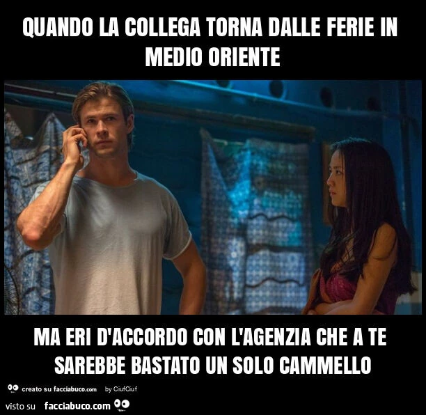 Quando la collega torna dalle ferie in medio oriente ma eri d'accordo con l'agenzia che a te sarebbe bastato un solo cammello