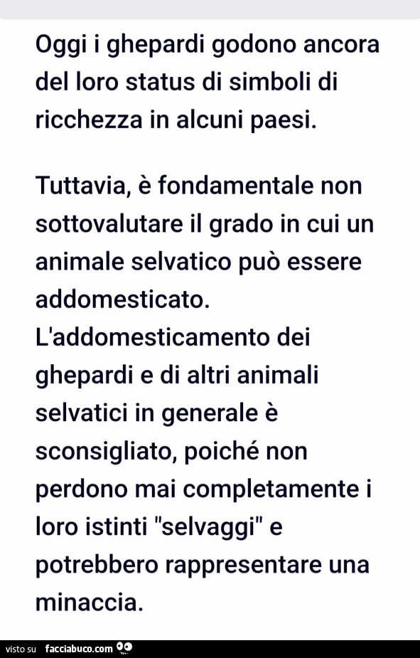 Vaccata