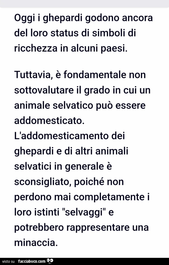 Vaccata