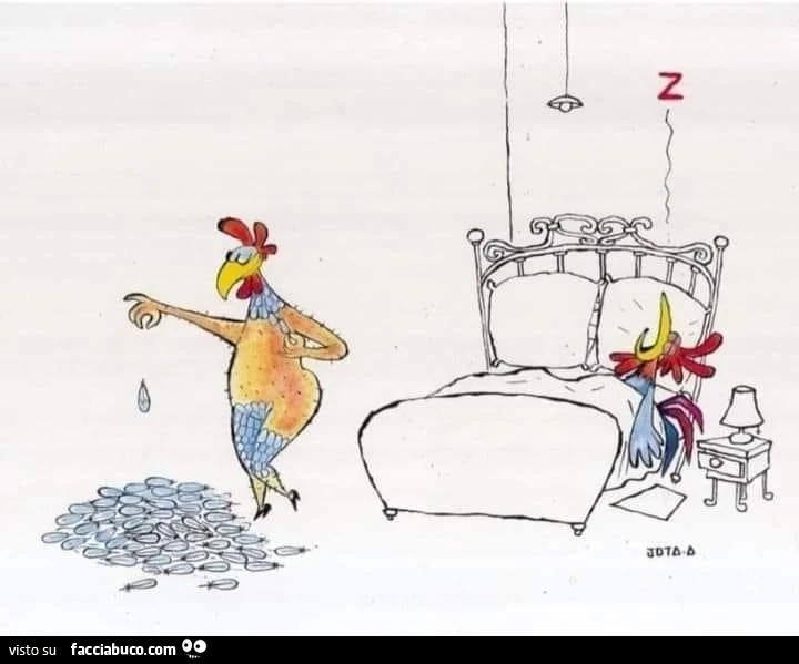 Gallina si sveste delle piume