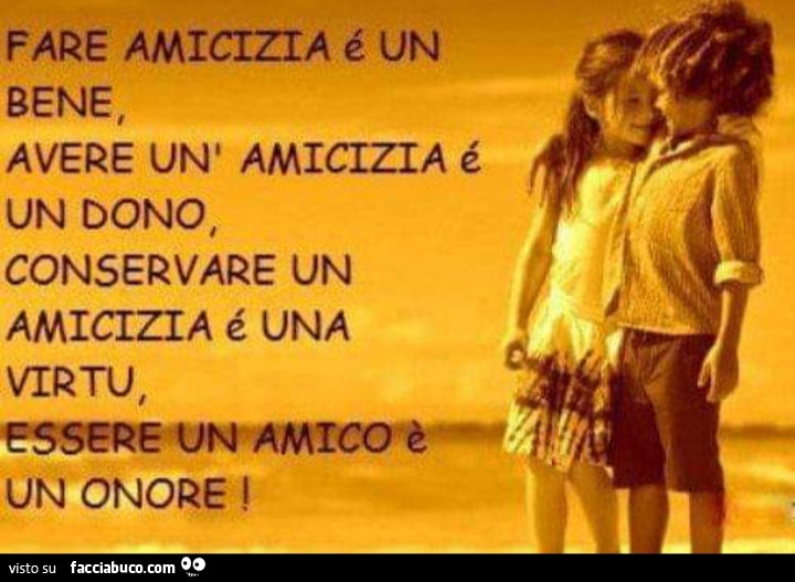 Fare amicizia è un bene, avere un'amicizia é un dono, conservare un amicizia é una virtu, essere un amico è un onore