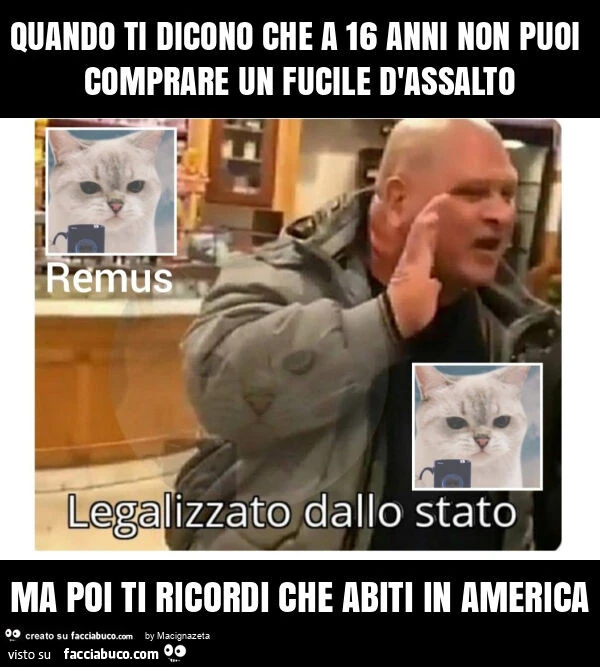 Quando ti dicono che a 16 anni non puoi comprare un fucile d'assalto ma poi ti ricordi che abiti in america