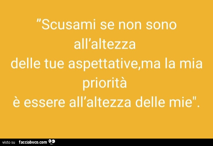 Scusami se non sono all'altezza delle tue aspettative, ma la mia priorità è essere all'altezza delle mie