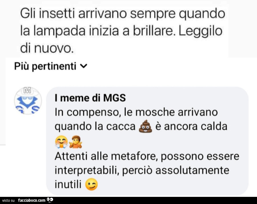 Gli insetti arrivano sempre quando la lampada inizia a brillare. Leggilo di nuovo