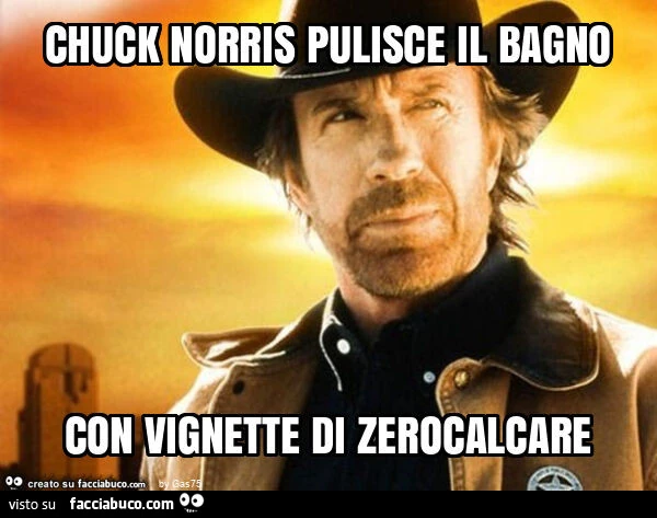 Chuck norris pulisce il bagno con vignette di zerocalcare
