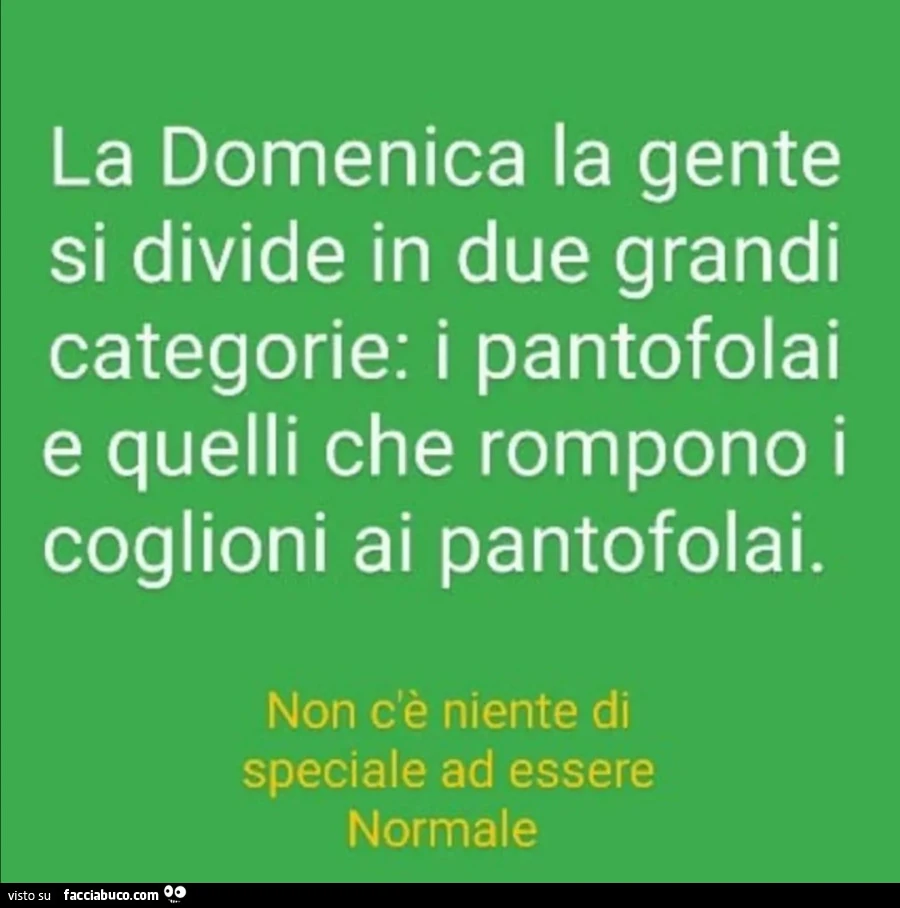La domenica la gente si divide in due grandi categorie: i pantofolai e quelli che rompono i coglioni ai pantofolai