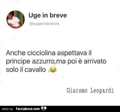 Anche cicciolina aspettava il principe azzurro, ma poi è arrivato solo il cavallo
