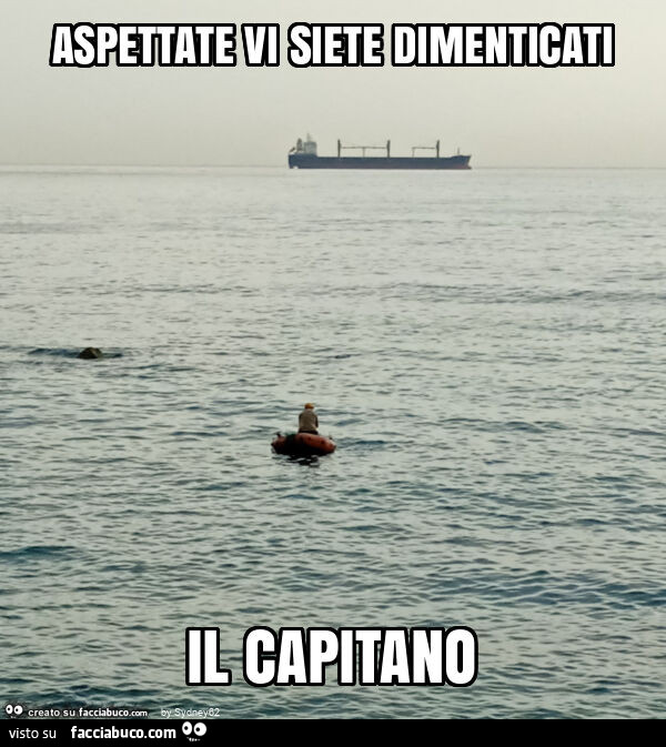 Aspettate vi siete dimenticati il capitano