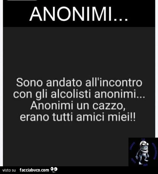 Anonimi… sono andato all'incontro con gli alcolisti anonimi… anonimi un cazzo, erano tutti amici miei