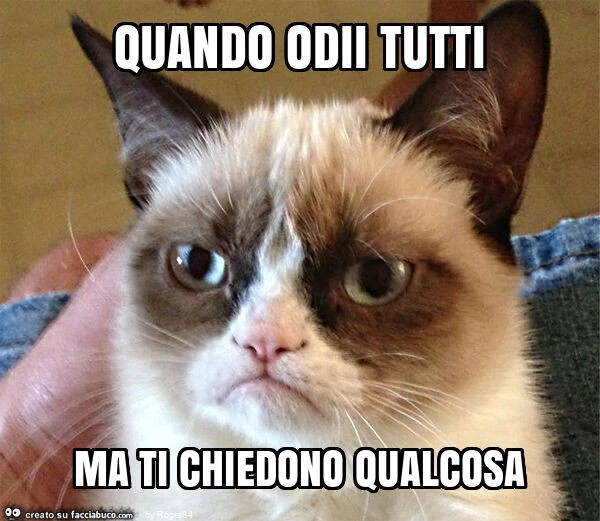 Quando odii tutti ma ti chiedono qualcosa