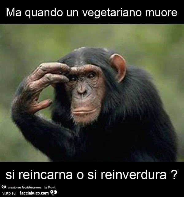 Ma quando un vegetariano muore si reincarna o si reinverdura?