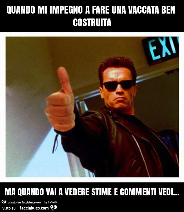 Quando mi impegno a fare una vaccata ben costruita ma quando vai a vedere stime e commenti vedi