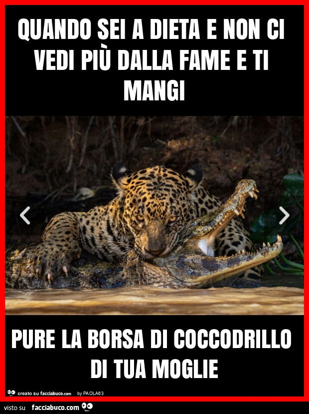 Quando sei a dieta e non ci vedi più dalla fame e ti mangi pure la borsa di coccodrillo di tua moglie