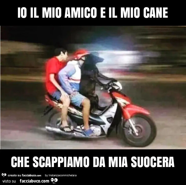 Io il mio amico e il mio cane che scappiamo da mia suocera
