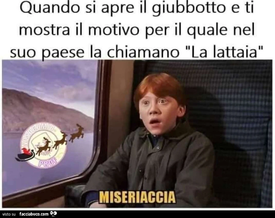 Vaccata