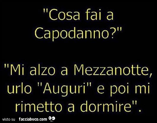 Cosa fai a capodanno? Mi alzo a mezzanotte, urlo auguri e poi mi rimetto a dormire