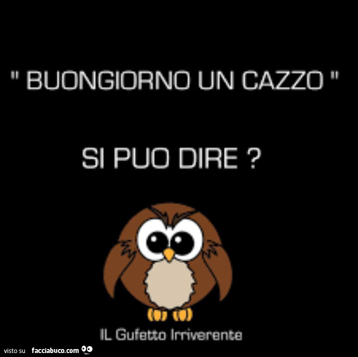 Buongiorno un cazzo si puo dire?